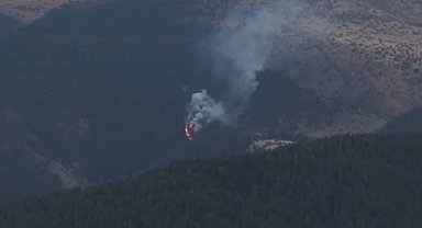 Bolu'da orman yangını