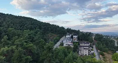 Bursa’da ayı paniği! Vatandaşlara uyarı yapıldı