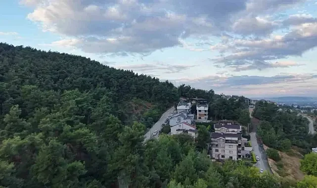 Bursa’da ayı paniği! Vatandaşlara uyarı yapıldı