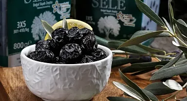 Bursa’da dikkat çeken zeytin zirvesi!