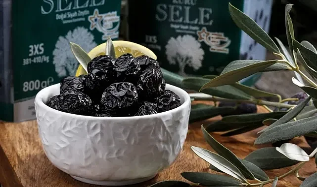 Bursa’da dikkat çeken zeytin zirvesi!