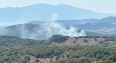 Bursa’da korkutan yangın