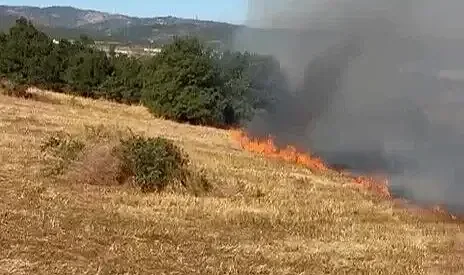 Bursa'da korkutan yangın