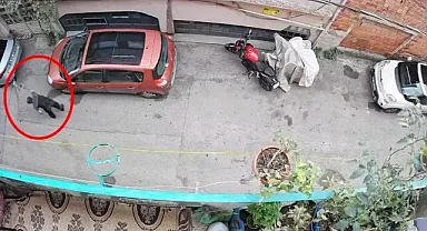 Bursa’da mahalleyi ayağa kaldıran olay!