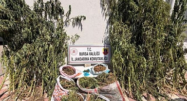 Bursa’da uyuşturucu operasyonu