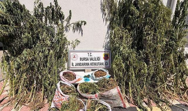 Bursa’da uyuşturucu operasyonu