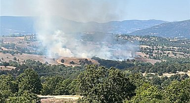 Bursa'da orman yangını