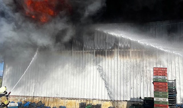 Bursa'da soğuk hava deposunda yangın