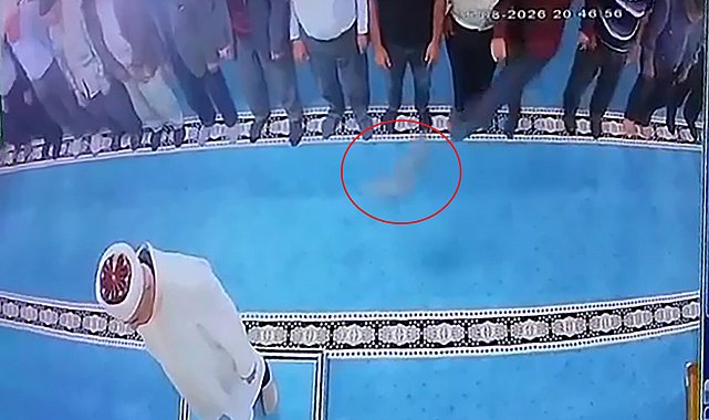 Camide kediye tekme atan kişi gözaltına alındı