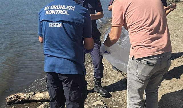 Çanakkale'de barajdaki balık ölümlerine inceleme