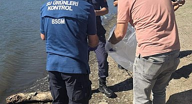 Çanakkale'de barajdaki balık ölümlerine inceleme