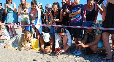 Çıralı'da son yuva açıldı; bu yıl 3 bin 458 yavru caretta caretta denizle buluştu
