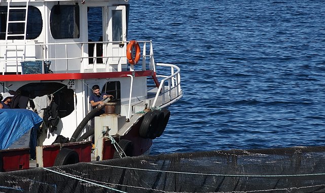 COP31 öncesi öğrencilerden Karadeniz'e yakın mercek