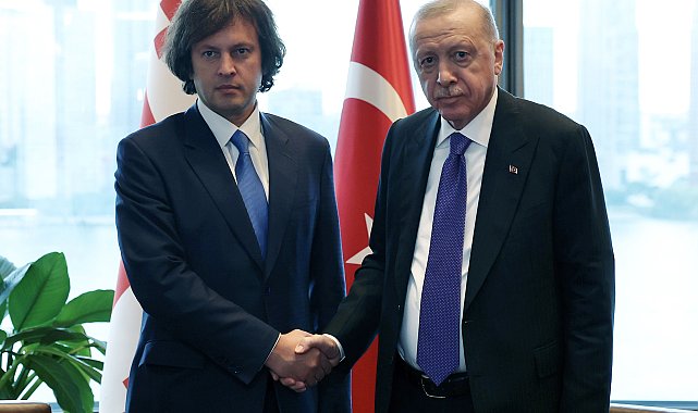 Cumhurbaşkanı Erdoğan, Gürcistan Başbakanı Kobakhidze ile görüştü