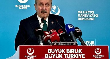 Destici: Türkiye'nin terör belasından kurtulmasını hep arzu ettik