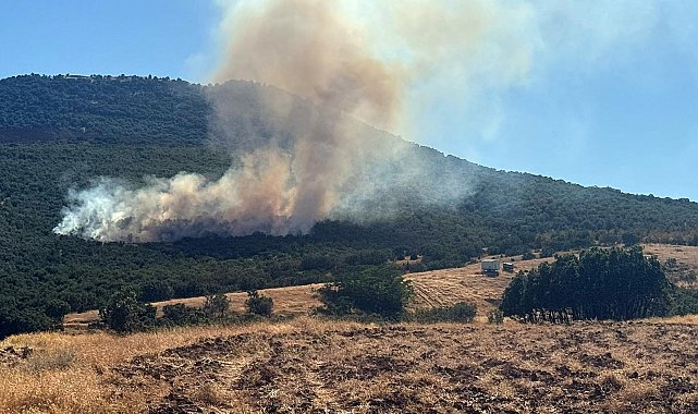 Eskişehir'de orman yangını