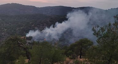 Gaziantep'te orman yangını; 4 dönüm alan zarar gördü