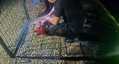 Gölete düşen yavru köpeği dalgıç polisler kurtardı