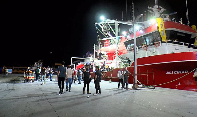 Gürpınar Balık Hali'nde balıkçılar avdan döndü: Bu sene palamut bol