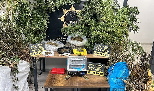 Hatay'da 122 kök Hint keneviri ve 14 kilo 752 gram kubar esrar ele geçirildi; 1 şüpheli tutuklandı
