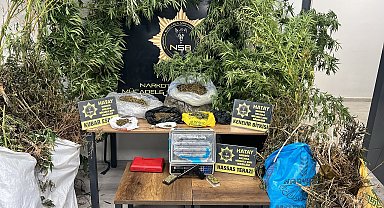 Hatay'da 122 kök Hint keneviri ve 14 kilo 752 gram kubar esrar ele geçirildi; 1 şüpheli tutuklandı