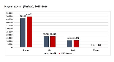 Hayvan varlığı haziran ayında arttı