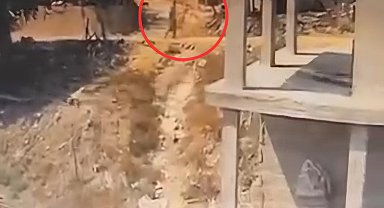 İnşaatta yatan köpeğe sopayla şiddet uyguladı; o anlar kamerada