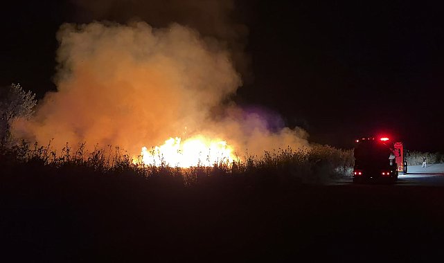 İznik'te sazlık yangını