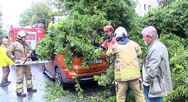 Kadıköy'de park halindeki otomobilin üzerine ağaç devrildi