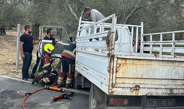Kamyonete giren eşek arısı, kazaya neden oldu: 2 yaralı