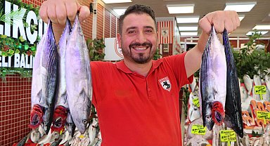 Karadeniz'de palamut bolluğu