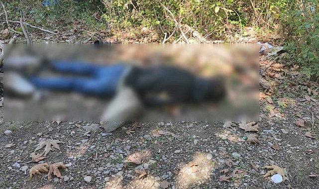 Kastamonu'da dere kenarında erkek cesedi bulundu: 1 gözaltı