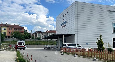 Kastamonu'da orman işçisi, arı sokması sonucu öldü