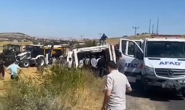 Kırşehir'de TIR devrildi: 4 büyükbaş hayvan öldü