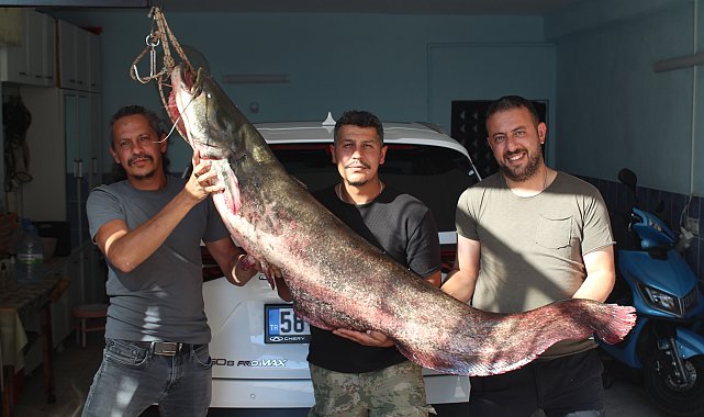 Kızılırmak'ta oltaya 190 santimetrelik yayın balığı takıldı