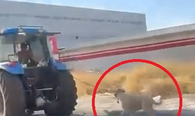 Köpeği traktöre iple bağlayıp koşturdu