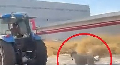 Köpeği traktöre iple bağlayıp koşturdu