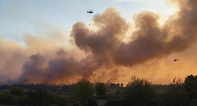 Kozan'da başlayıp, 2 ilçeye daha sıçrayan orman yangını 2'nci gününde