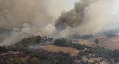Kozan'da başlayıp, 2 ilçeye daha sıçrayan orman yangını 2'nci gününde