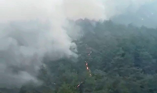 Kozan'da başlayıp, 2 ilçeye daha sıçrayan orman yangını 3'üncü gününde
