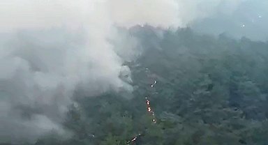 Kozan'da başlayıp, 2 ilçeye daha sıçrayan orman yangını 3'üncü gününde
