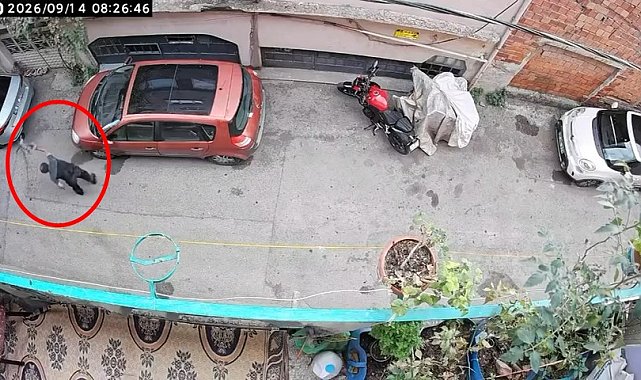 Kucağındaki kediye şiddet uyguladığı anlar kamerada