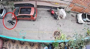 Kucağındaki kediye şiddet uyguladığı anlar kamerada