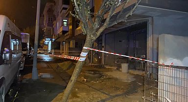 Küçükçekmece'de elektrik akımına kapılan köpek öldü, sahibi yaralandı