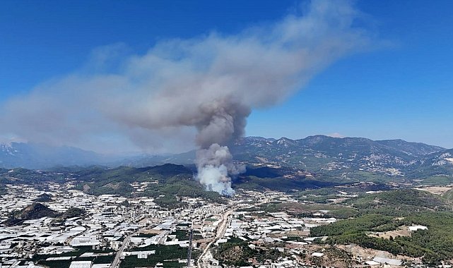 Kumluca'da orman yangını şüphelisi tutuklandı