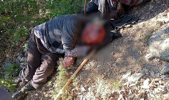 Kuşburnu toplarken 30 metreden yuvarlanıp yaralandı