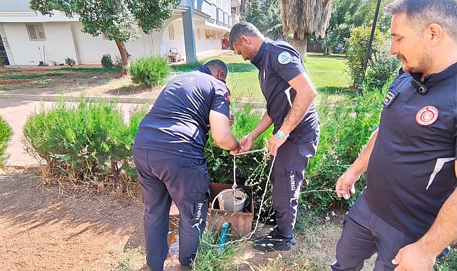 Kuyuya düşen yavru kediyi itfaiye ekibi kurtardı