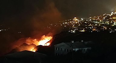 Mardin'de örtü yangını; müdahale sürüyor