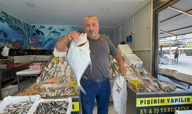 Mersin'de denizden 'deve balığı' çıktı