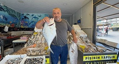 Mersin'de denizden 'deve balığı' çıktı